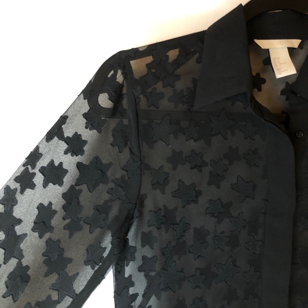Sheer Blouse